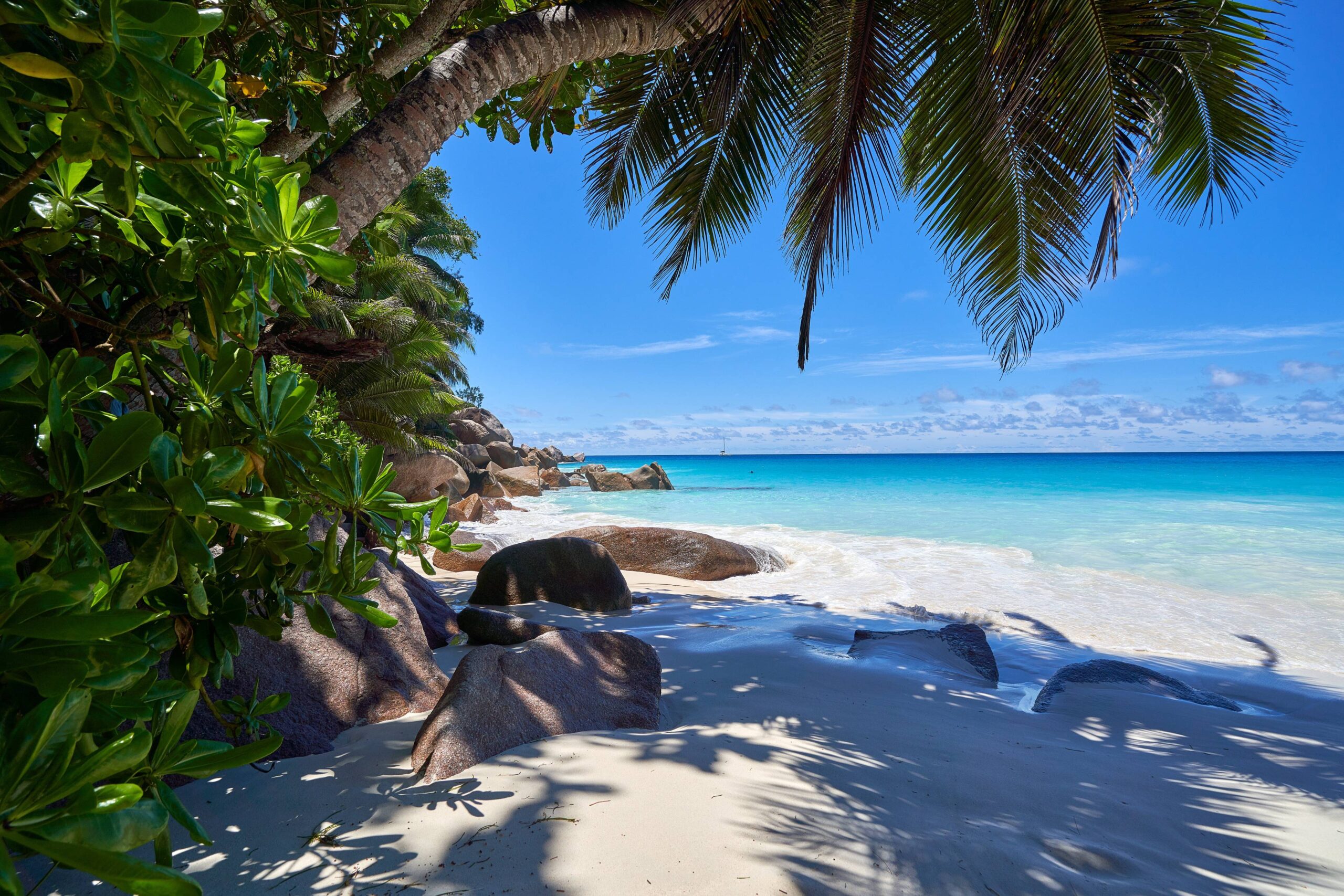 Best beach vacation on Seychelles